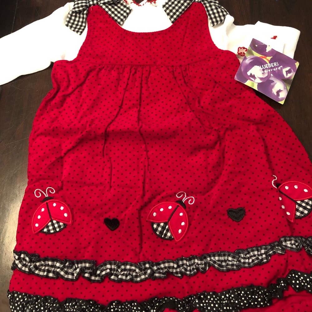 24 month brand new w tags ladybug outfit
